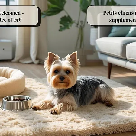 St Dominique - T2 Cosy Avec Parking Лурд