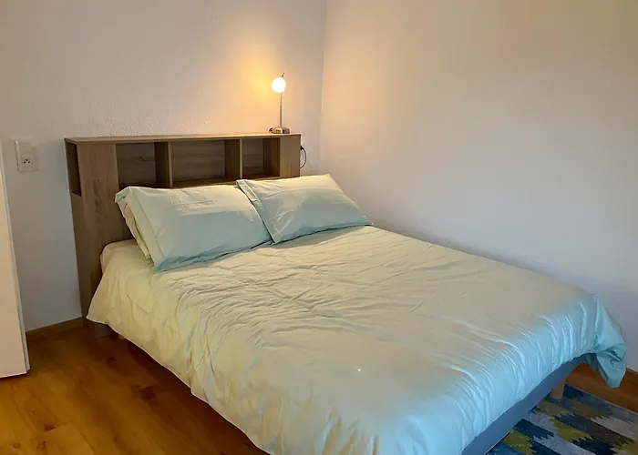 St Dominique - T2 Cosy Avec Parking Lourdes