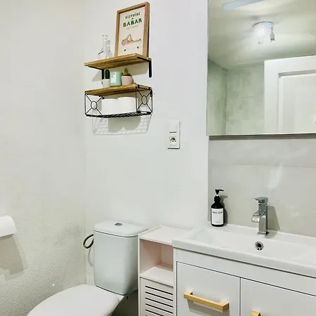 Апартаменти St Dominique - T2 Cosy Avec Parking Лурд