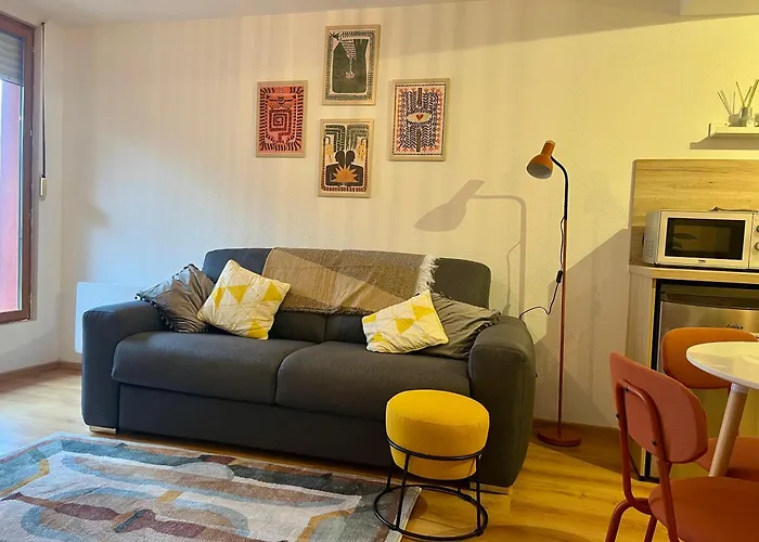 St Dominique - T2 Cosy Avec Parking Appartement